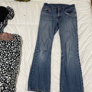 Patagonia bootcut jeans